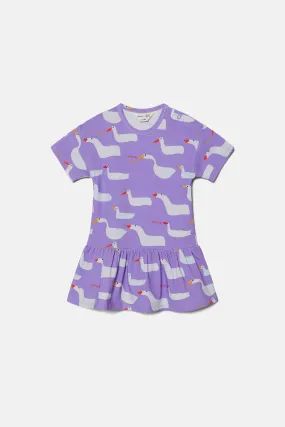 Duck Duck Goose Baby Dress